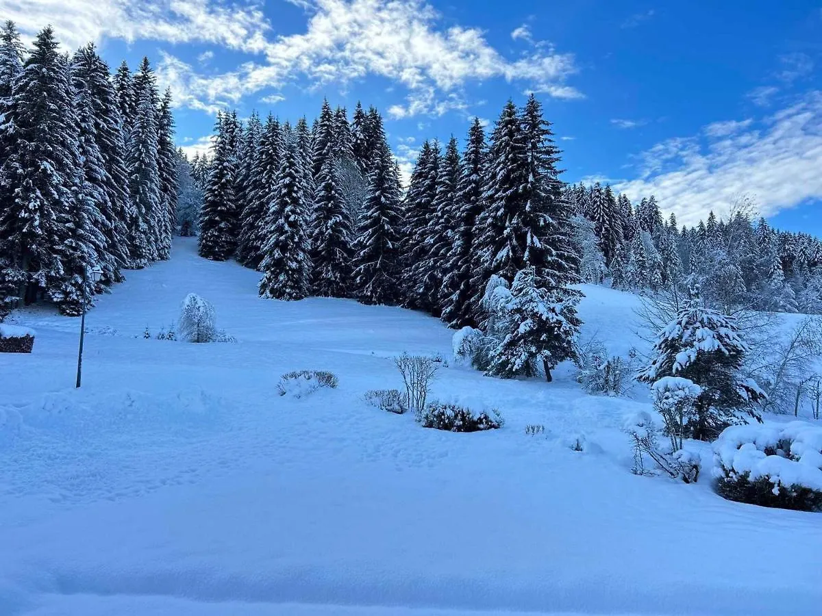 Appartement 3* Aux Gets, Proche Des Pistes, Balcon Et Terrasse, Offre Tout Confort ! - Fr-1-623-250 Les Gets France